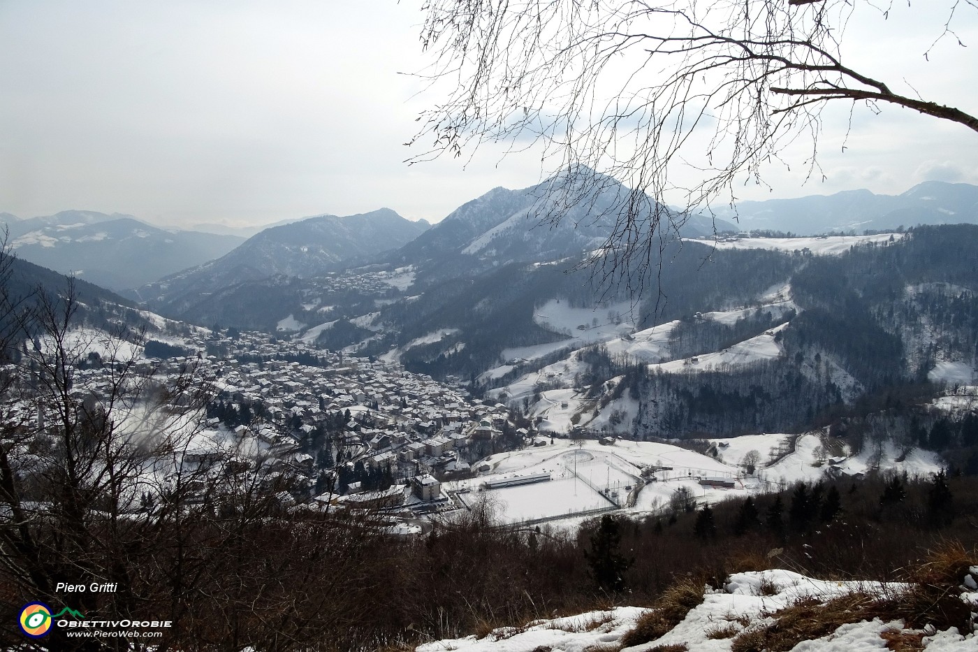63 Il caldo sole ha scrollato la neve dalle piante.JPG